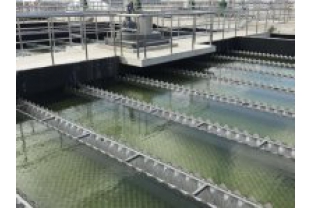 【干貨】有機物導致的氨氮超標?這種情況該如何處理呢?