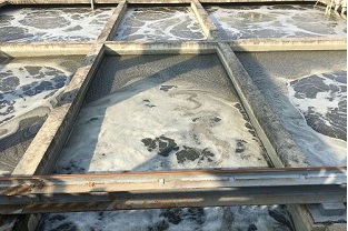 總氮怎樣用藥劑去除(總氮用什么方法去除)