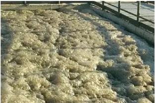 污水處理中的泡沫現象該怎么辦?