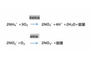 食品廢水氨氮超標(biāo),你可以這么做