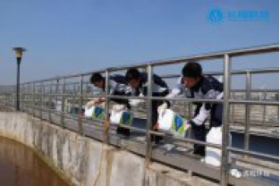 碳氮比失調,總氮超標怎么辦